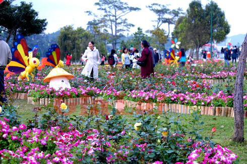 du lich,Lịch sự kiện Năm Du lịch Quốc gia 2014 Tây Nguyên – Đà Lạt