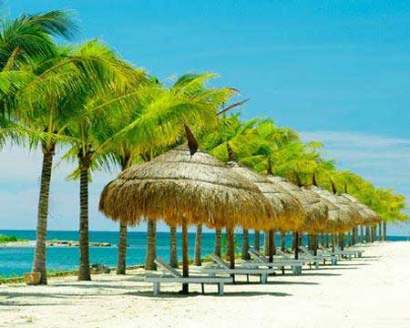 du lich,Du lịch Ninh Chữ - Phan Thiết (3 ngày 2 đêm)