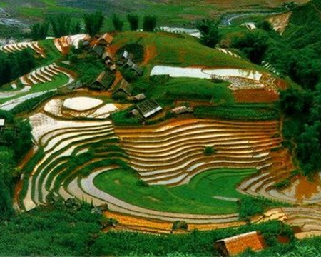 du lich, du lich gia re, tour du lich