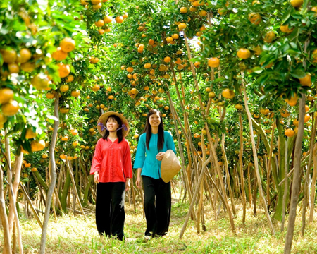 du lich, du lich gia re, tour du lich