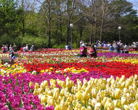 du lich, du lich gia re, tour du lich