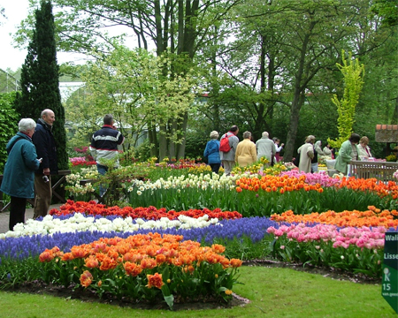 du lich, du lich gia re, tour du lich