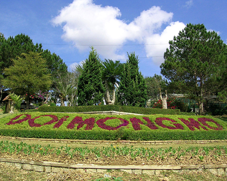 du lich, du lich gia re, tour du lich