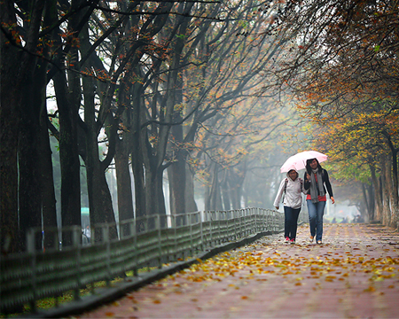 du lich, du lich gia re, tour du lich