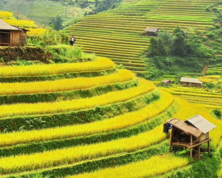 du lich, du lich gia re, tour du lich