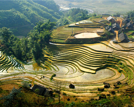 du lich, du lich gia re, tour du lich