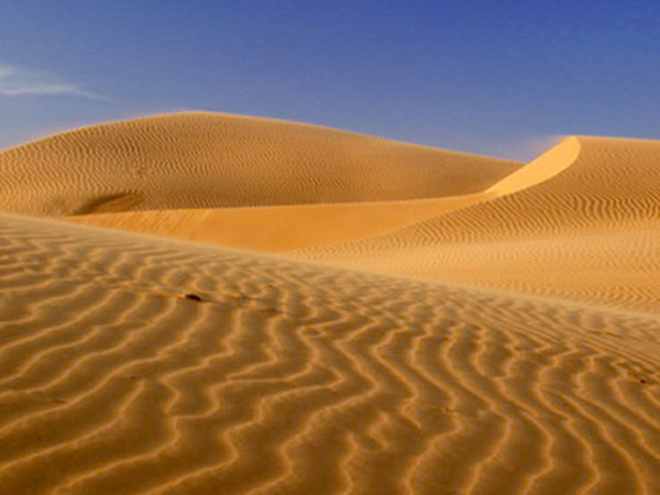 du lich, du lich gia re, tour du lich