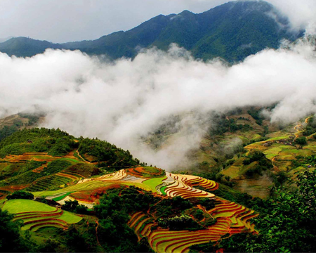 du lich, du lich gia re, tour du lich