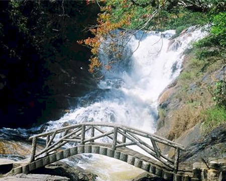 du lich, du lich gia re, tour du lich