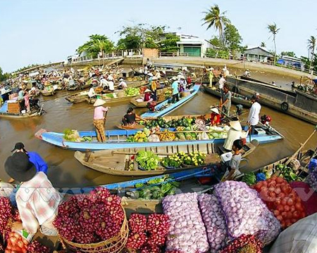 du lich, du lich gia re, tour du lich