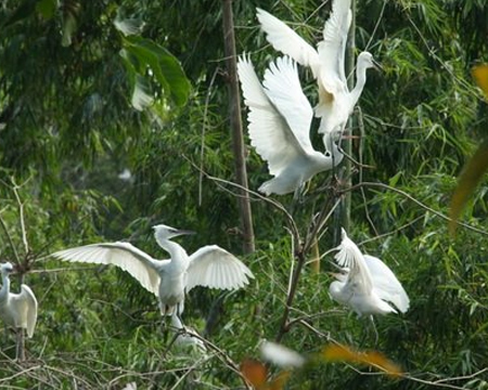 du lich, du lich gia re, tour du lich