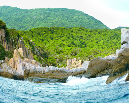 du lich, du lich gia re, tour du lich