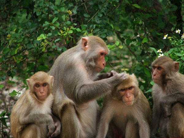 du lich, du lich gia re, tour du lich