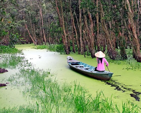 du lich, du lich gia re, tour du lich